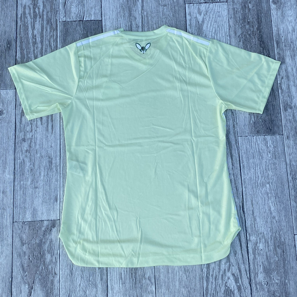 Maillot Algerie Vert Pistache - 2025/2026