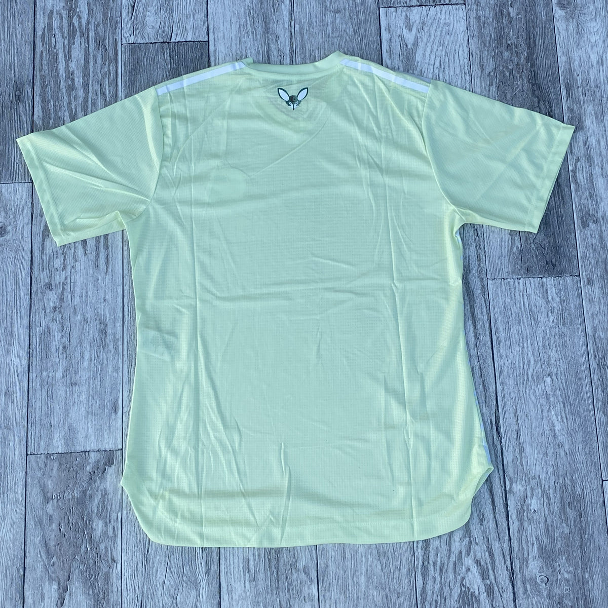 Maillot Algerie Vert Pistache - 2025/2026